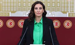 Evrim Rızvanoğlu, Muş Varto'da 16 köyü etkileyecek jeotermal projesini TBMM gündemine taşıdı