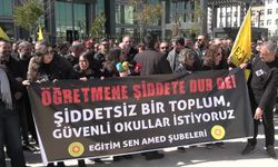 Fatma Nur Çelik'in öğrencisi tarafından öldürülmesi.. Eğitim Sen Diyarbakır Şubesi: 'Bu olay basit bir cinayet değil, arkasında çok büyük bir toplumsal çürüme var'