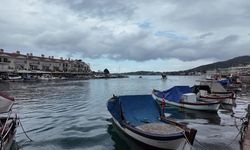 Foça'nın balıkları festivalle tanıtıldı