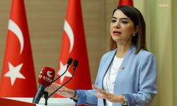 Gamze Taşcıer'den doğum iznini 16 haftaya çıkaran kanun teklifine tepki: 'Gerçek bir sosyal politika kadınların ekonomik güvencesini güçlendirmeli'