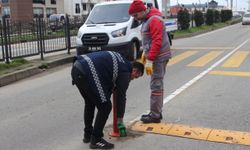 Giresun Belediyesi ekiplerinden sahada yoğun mesai