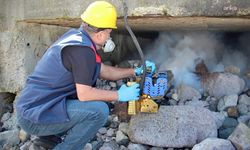 Giresun Belediyesi, ilaçlama çalışmalarına başladı