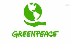 Greenpeace Türkiye'den İkizköylü Esra Işık'ın gözaltına alınmasına tepki: Doğasını savunanlar değil ormanları yok edenler cezalandırılmalı