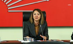 Gül Çitfci: 'Yürütme makamında bulunan bir kişinin değerlendirmesi, mahkemelere yönlendirme niteliği taşır'