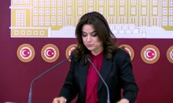 Gülistan Kılıç Koçyiğit'ten iktidara 'süreç' çağrısı: 'İktidar elini çabuk tutmalı'