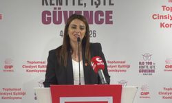 ILO190 tanıtım toplantısı... Asu Kaya: 'Sosyal demokrat belediyelerimiz yalnızca yol, park, altyapı üretmiyor. Biz değer, eşitlik , adalet üretiyoruz'