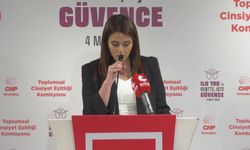 ILO190 tanıtım toplantısı... Gamze Taşcıer: 'Kadınları sosyal hayattan yok etmeye çalışan iktidarın parmak izi her bir öldürülen kadının bedeninin üzerinde'