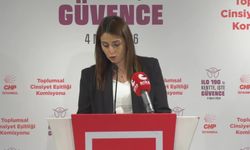 ILO190 tanıtım toplantısı... Gökan Zeybek: 'Gelecek dönem CHP grubu parlamentoda en az 90 kadın milletvekiliyle temsil edilmeli'