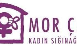 İstanbul'da anne ve kızının hayatını kaybetmesi.. .Mor Çatı Kadın Sığınağı Vakfı: Aile ve Sosyal Hizmetler Bakanlığı'nın 'tedbir aldık' söylemi kabul edilemez
