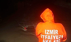 İzmir İtfaiyesi, Menderes'te dereye uçan araçta mahsur kalan vatandaşı kurtardı