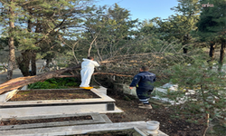 İzmir'de fırtınadan etkilenen mezarlıklarda bakım onarım çalışması yapıldı