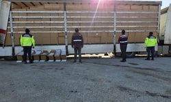 İzmir'de kaçakçılık operasyonu: 35 milyon değerinde kaçak sigara ele geçirildi, 3 kişi tutuklandı