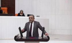 Kenan Şener'in gözaltına alınması... CHP'li Tanrıkulu'ndan İçişleri Bakanı Mustafa Çiftçi'ye soru önergesi