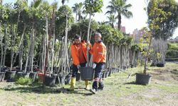 Mersin Büyükşehir Belediyesi, 'Ağaçlandırma Kampanyası' başlattı