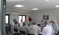 Mersin Büyükşehir Belediyesi, coğrafi işaretli kan portakalına kadın emeği ile değer katıyor