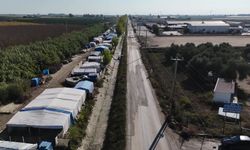 Mersin Büyükşehir Belediyesi'nden Ulubatlı Hasan Bulvarı'nda sıcak asfalt çalışması