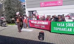 Milas'ta zeytin tepkisi: Milas, YK Enerji Şirketi'nin çiftliği değil