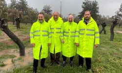 Mustafa Varank başkanlığındaki heyet, Milas'ta köylülerin tepki gösterdiği zeytin ağaçlarının taşınma sürecini inceledi