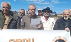Ordu Çevre Derneği, Büyükşehir Belediyesi'nin Durugöl'de sürdürdüğü yapılaşma çalışmalarını protesto etti