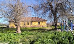 Osmaniye'nin Çınar köyü sakinlerinden Bakan Tekin'e tepki: 70-75 yıllık okulun tuvaleti de lojmanı da vardı