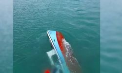 Sinop Gerze'de balıkçı teknesi kayalıklara çarparak battı