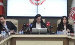 Suça Sürüklenen Çocuklar Komisyonu'nda mağdur aileler dinlendi: Biz artık yemek yiyemiyoruz, bizim soframızdan bir tabak eksildi