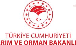Tarım ve Orman Bakanlığı: Sosyal medyadaki hayvan refahına açıkça aykırı davranışlar içeren görüntüler üzerine inceleme başlatıldı