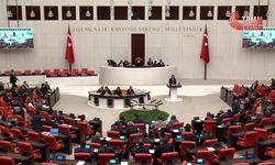 TBMM Genel Kurulu... DEM Parti'nin kadın cinayetlerine yönelik araştırma önerisi AK Parti ve MHP oylarıyla reddedildi