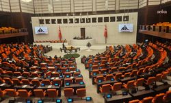 TBMM Genel Kurulu.... İYİ Partili Uz: Siz 'düzenleme' derken devletin omurgasını gevşetiyorsunuz, görmüyor musunuz?