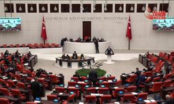 TBMM Genel Kurulu'nda Yeni Yol Grubu'nun bölgedeki son gelişmelerin ülkedeki sosyolojik etkisi üzerine verdiği öneri AK Parti-MHP oylarıyla reddedildi