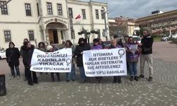 TİP üyelerinden İstanbul'da anne ve kızının hayatını kaybetmesine ilişkin Ayancık'ta açıklama