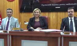 Trakya'ya kurulmak istenen nükleer santrale tepki: Trakya'da bir doğa katliamına karşı durmak zorundayız