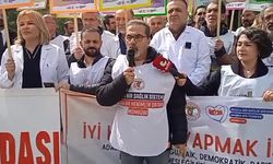 Türk Tabipleri Birliği Merkez Konsey Üyesi Kanatlı: 'Sağlıkta dönüşüm programı dedikleri ucube sistem sonucunda Türkiye'de sağlık sistemi çökmüştür'