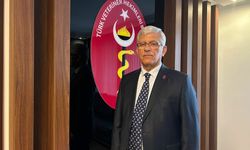 Türk Veteriner Hekimleri Birliği: 'Yaban hayatını korumak yaşamın kendisini korumaktır'