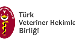 Türk Veteriner Hekimleri Birliği'nin kuruluşunun 72'nci yıl dönümü: 'Eğitimde standartı yakalayamayan bir mesleğin, gelecekteki sürdürülebilirliği tehlikeye girecektir'