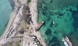 Urla Belediye Başkanı Balkan'dan 'orman arazilerinde turizm yapılaşmasına' tepki: Urla'da bir tane bile ağacın kesilmesine karşıyız