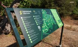 Üsküdar Belediyesi, 'CARE Validebağ' ile Avrupa'nın en iyi uygulamaları arasına girdi