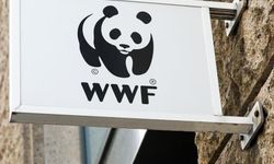 WWF-Türkiye'den Milli Parklar Kanunu tepkisi: 'Dağ çökerse şehir göçer'
