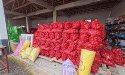 Yozgat'ta tonlarca mor kuru soğan depoda kaldı: 'Şu anda '4 lira' diyorlar, marketlerde 30-40 liraya satılıyor'