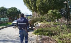 Yunusemre Belediyesi'nden park ve yeşil alanlarda bahar temizliği
