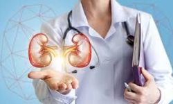 Dünya Böbrek Günü: Türkiye’de Her 6–7 Erişkinden Birinde Kronik Böbrek Hastalığı