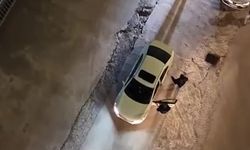 71 ilde uyuşturucu operasyonu: Yakalanan 903 şüpheliden 373'ü tutuklandı