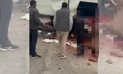 Adana'da koşudan dönen yarış atlarını taşıyan nakil aracı Malatya'da kaza yaptı: 6 yaşındaki safkan Heyfa öldü, Rotoractor yaralandı