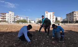 Adıyaman Belediyesi üretiyor: 14 bin 285 deste sebze vatandaşın sofrasına ulaştı