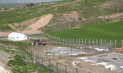 Adıyaman Belediyesi, uygun fiyatlı yumurta satışı için hazırlıklarını sürdürüyor