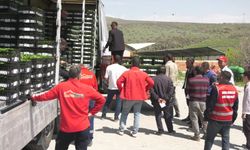 Ankara Büyükşehir Belediyesi'nden 8 ilçede erkenci fide desteği