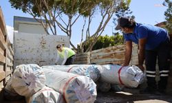 Antalya Büyükşehir Belediyesi'nden hortum ve yağıştan zarar gören Kumlucalı çiftçiye sera naylonu desteği