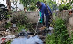 Antalya Büyükşehir Belediyesi'nden sinek üreme alanlarında yoğun çalışma