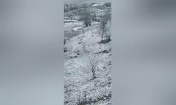 Artvin'de ambulans kazası: 1 ölü, 4 yaralı