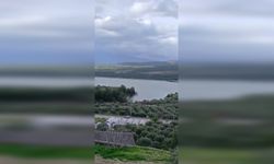 Aydın'da barajın yanı başında susuzluk çekiyorlar